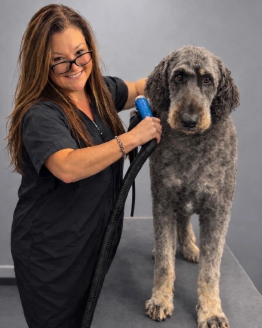 Pet Grooming