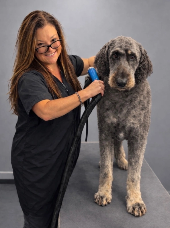 Gentle Grooming for Healthier, Happier Pets