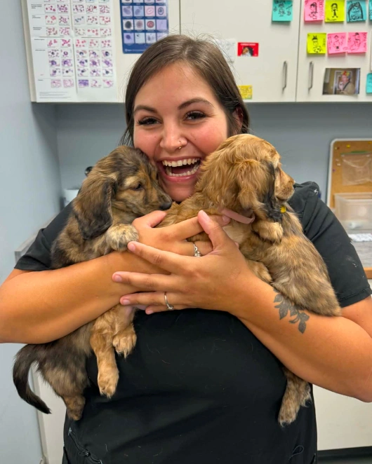 Puppy & Kitten Care