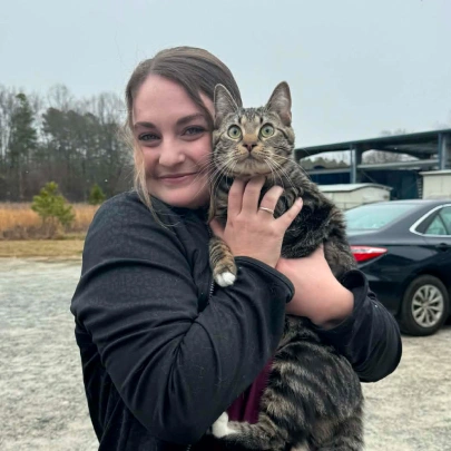 Behavioral Counseling