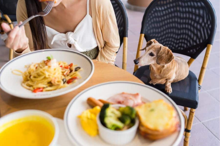 Picky Eating